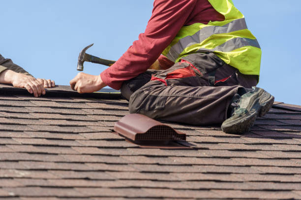 Best Residential Roofing Contractor  in Waimea, HI