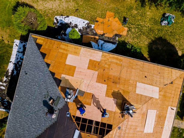 Best Commercial Roofing Services  in Waimea, HI