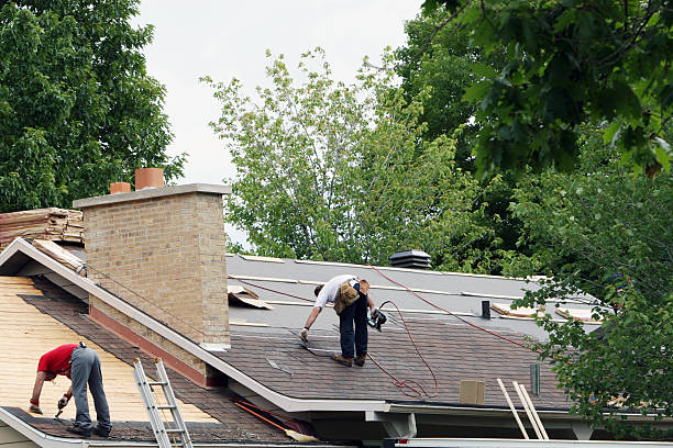 Best Roof Maintenance Services  in Waimea, HI